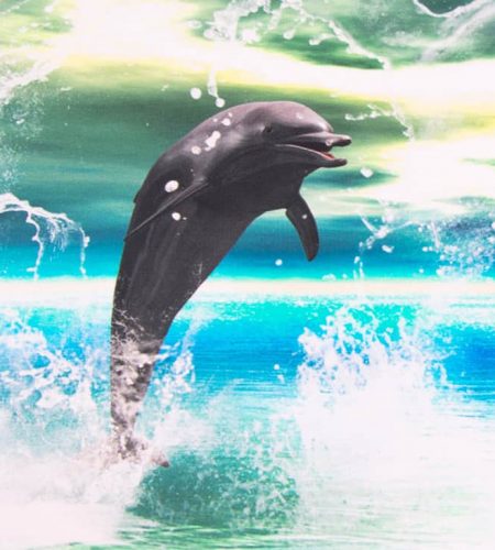 delfin fehér5